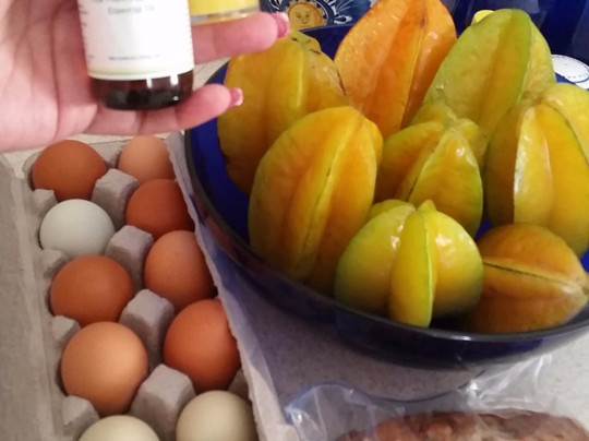 Miss Potter's Place-迈尔斯堡必去景点