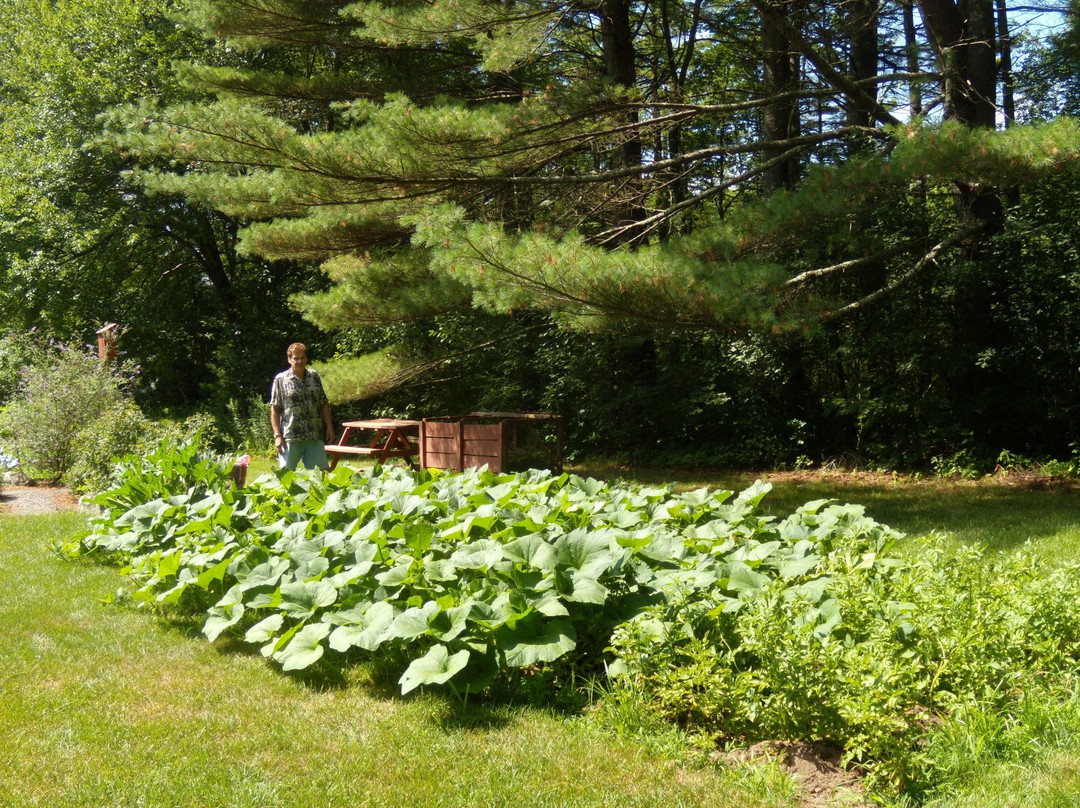 Verrill Farm-康科德必去景点