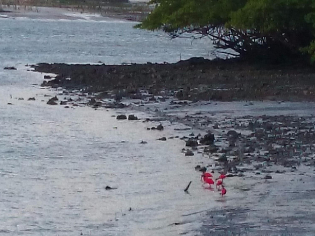 Maruda Beach-Algodoal必去景点