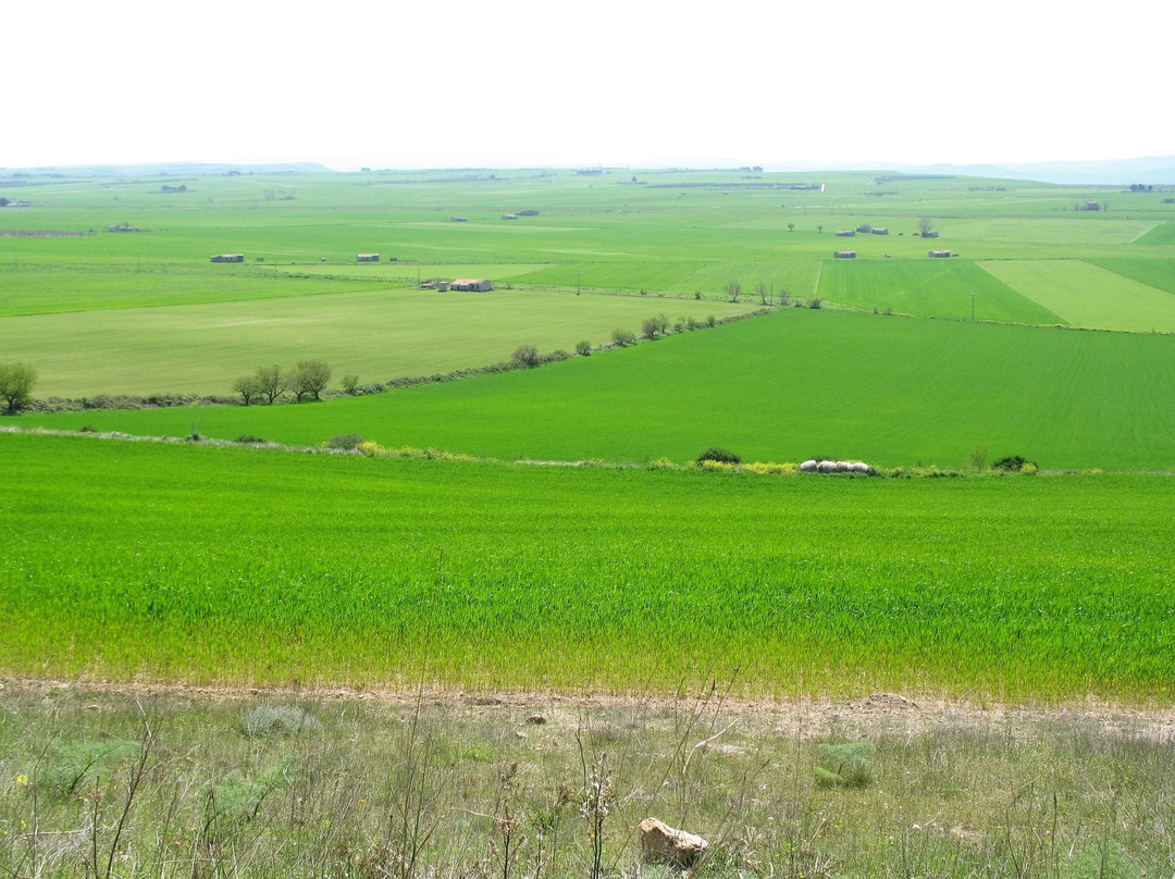 Gravina in Puglia旅游攻略图片
