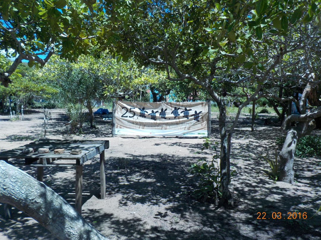 Pontal Do Ipiranga Beach景点图片