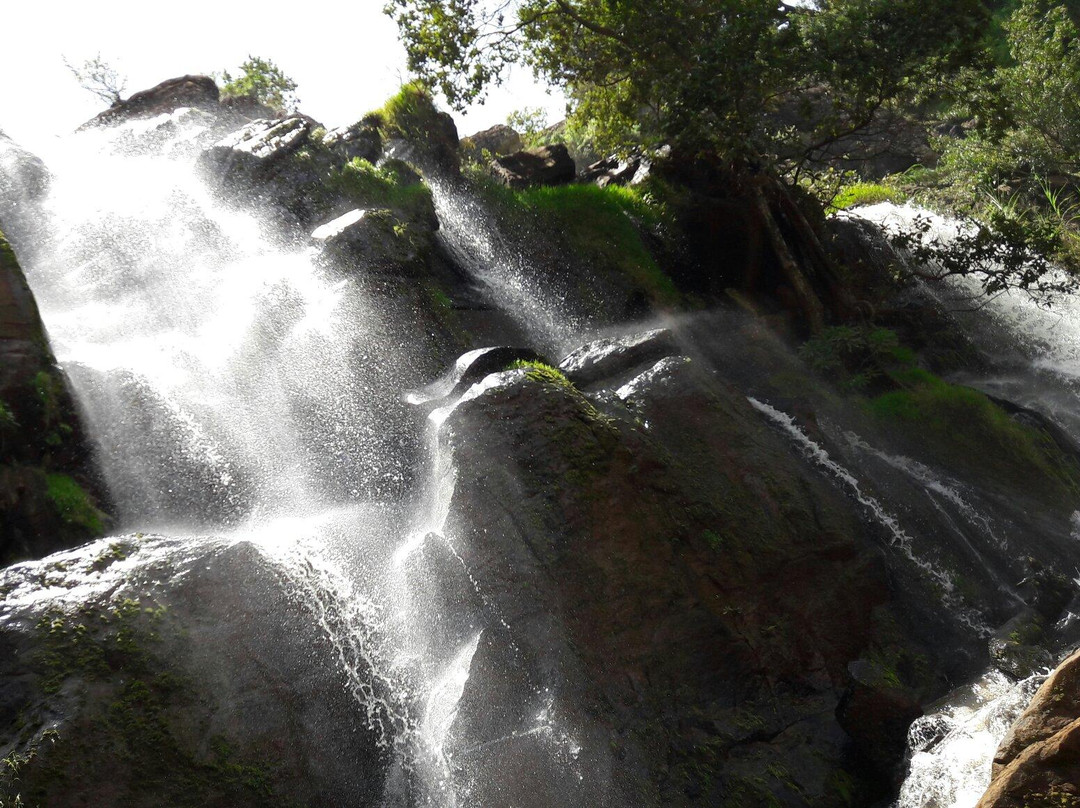 Soni Falls景点图片