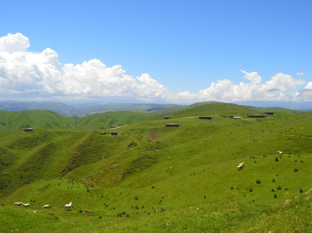 Belmont Regional Park-惠灵顿必去景点