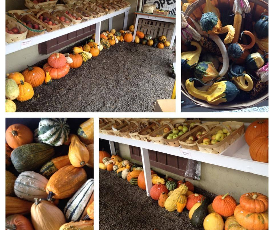 Whistlestop Market-Brevard必去景点