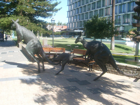 Council House-珀斯必去景点