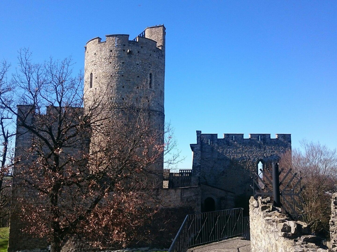 Saint-Quentin-Fallavier旅游攻略图片