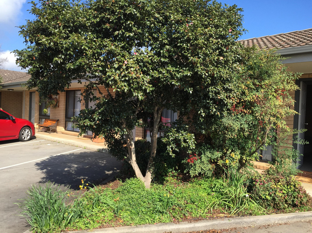 Albury Allawa Motor Inn主图