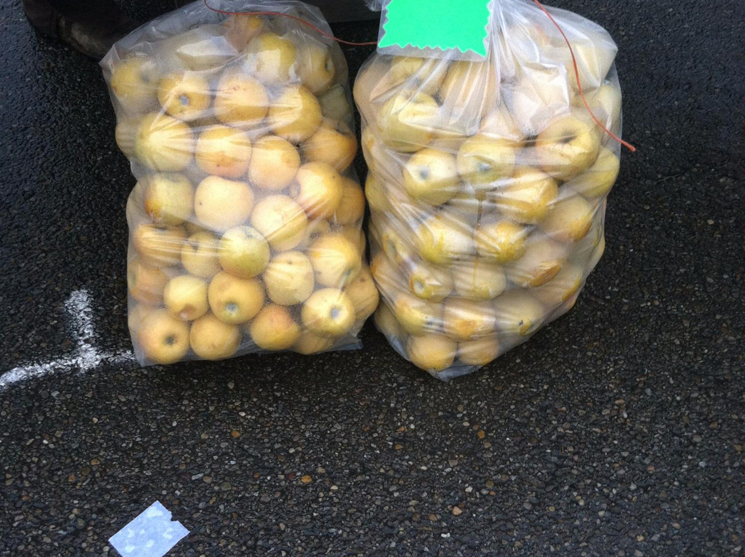 Athens Farmers Market-阿森斯必去景点