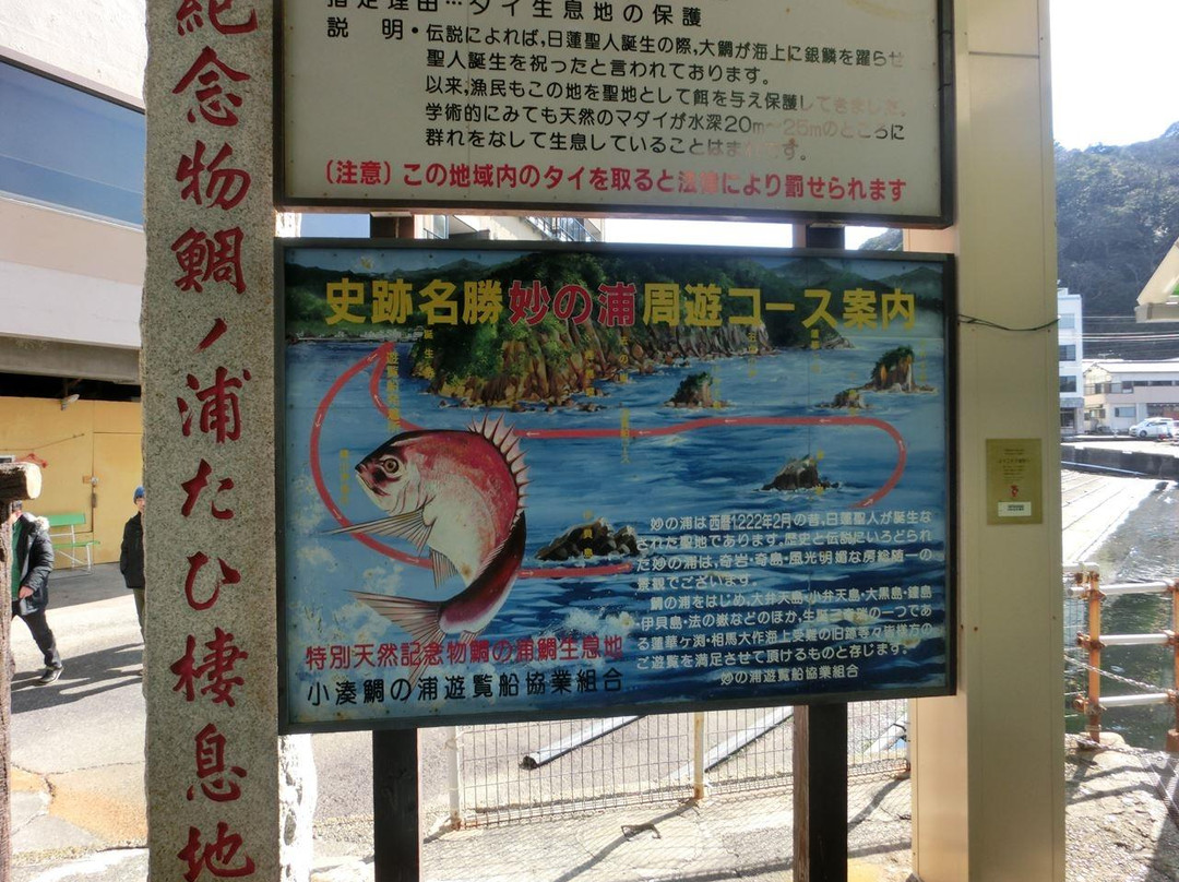Tainoura-鸭川市必去景点