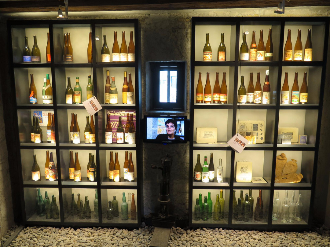 Wine Museum Sierre-谢尔必去景点