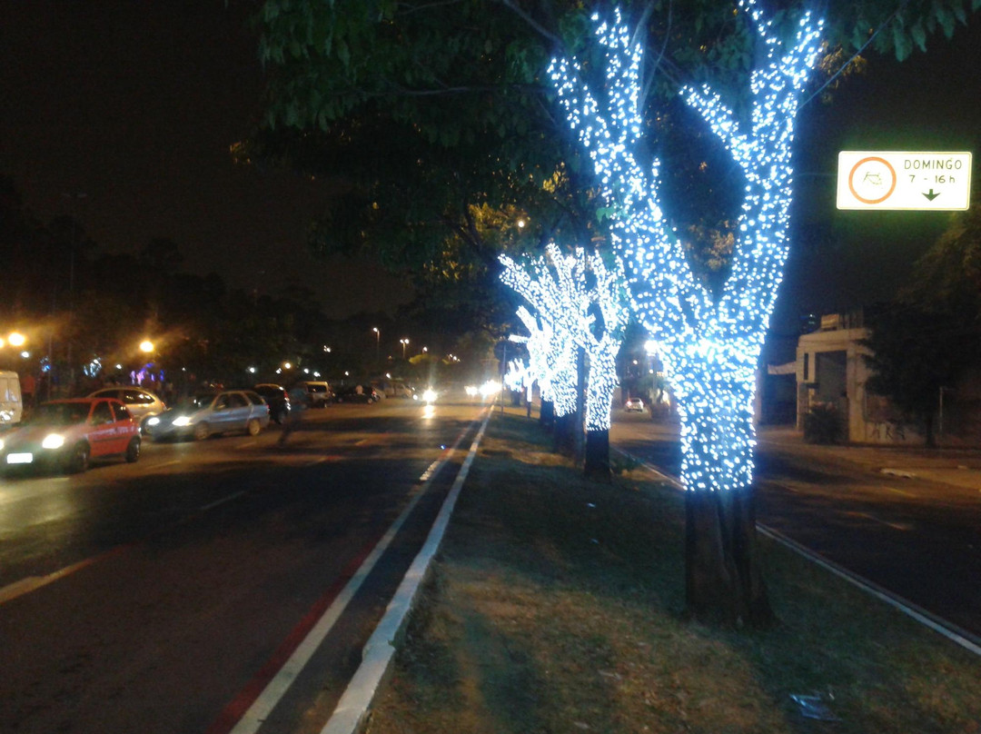 Bosque Maia-瓜鲁柳斯必去景点
