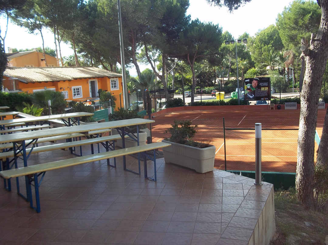 Tenis Oro-Costa de la Calma必去景点