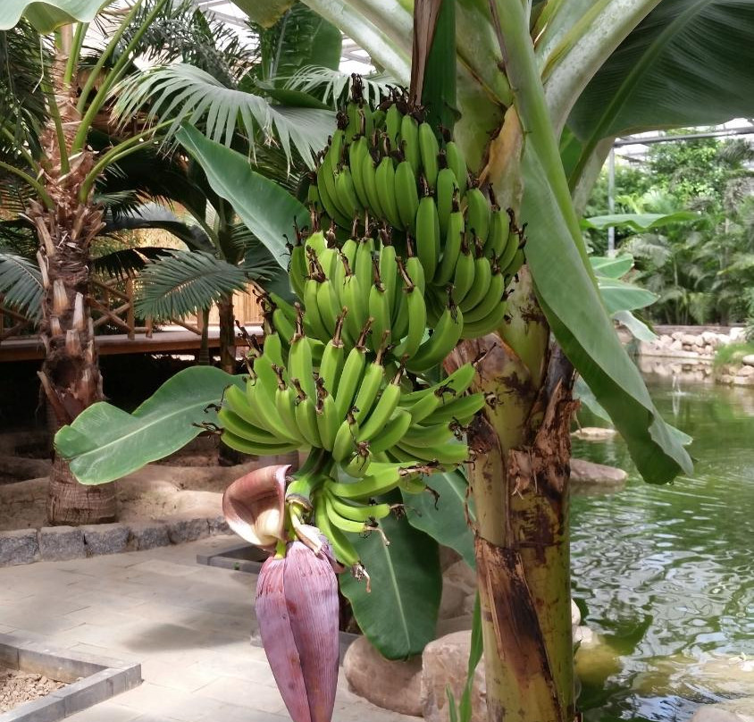 九天休闲谷-廊坊市必去景点