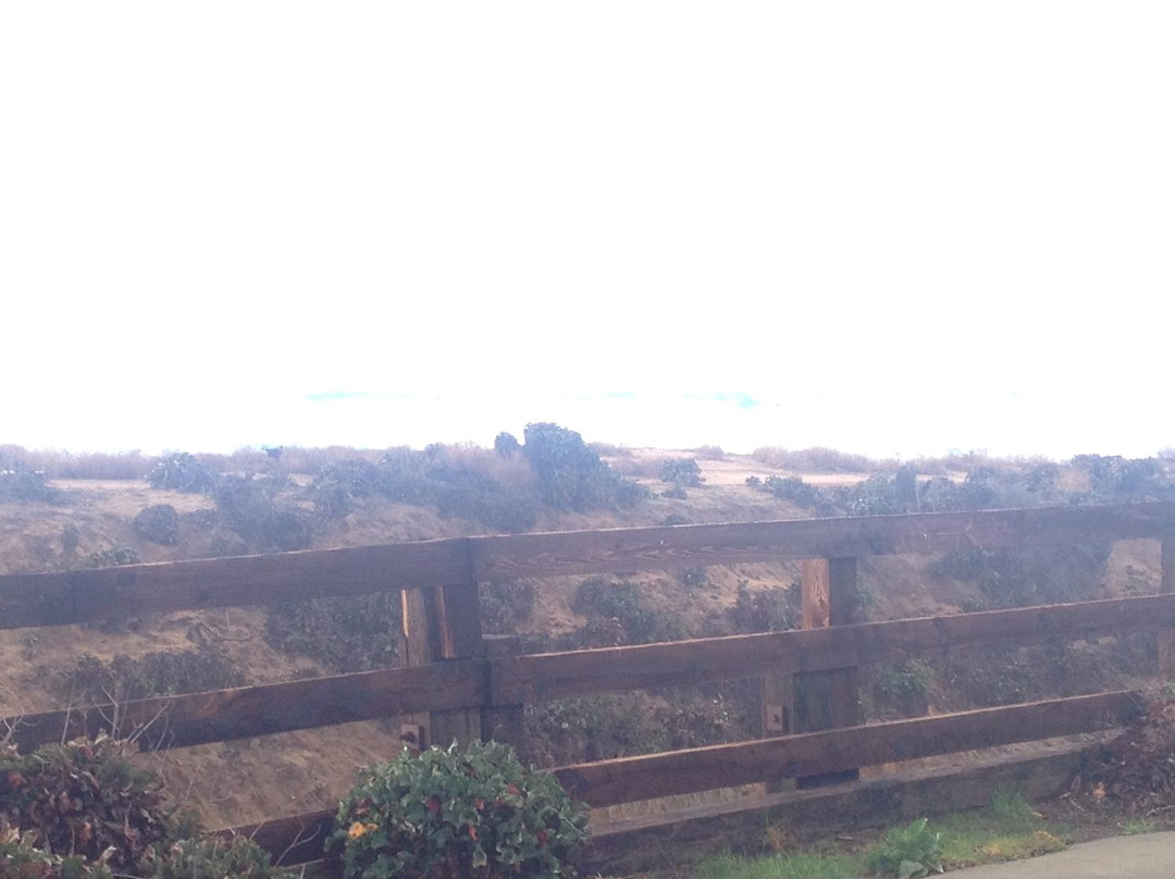 Del Mar Beach-卡梅尔必去景点