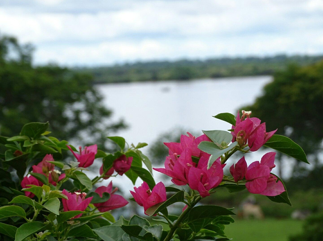 Hotel Turismo de Ayolas主图