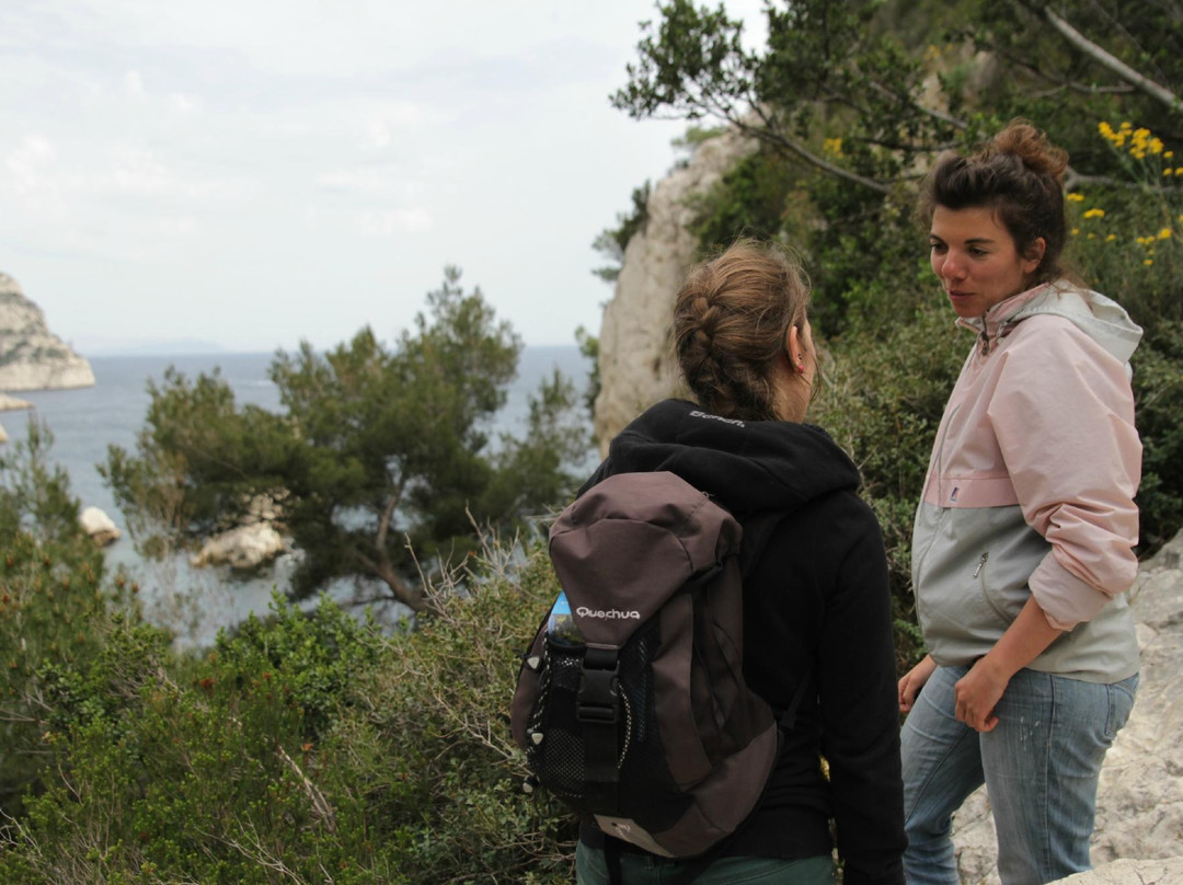 ToctocMarseille - Day Tours-马赛必去景点