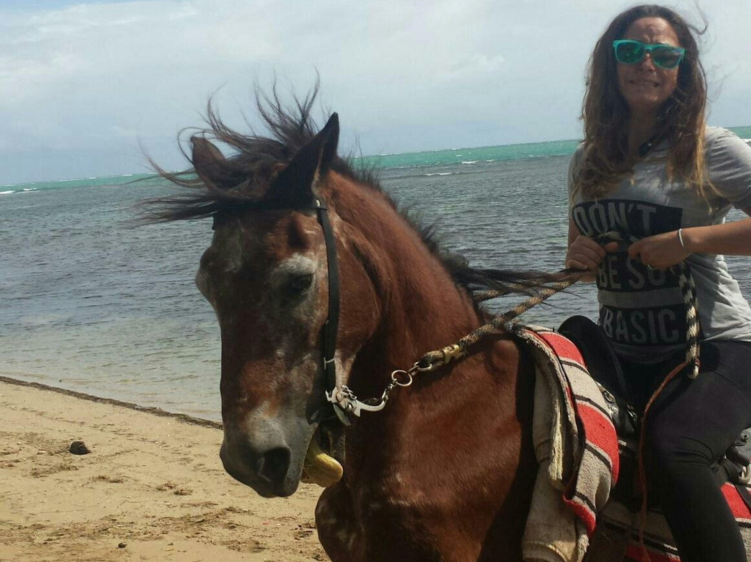 Catch a Dream Ranch-Rio Grande必去景点