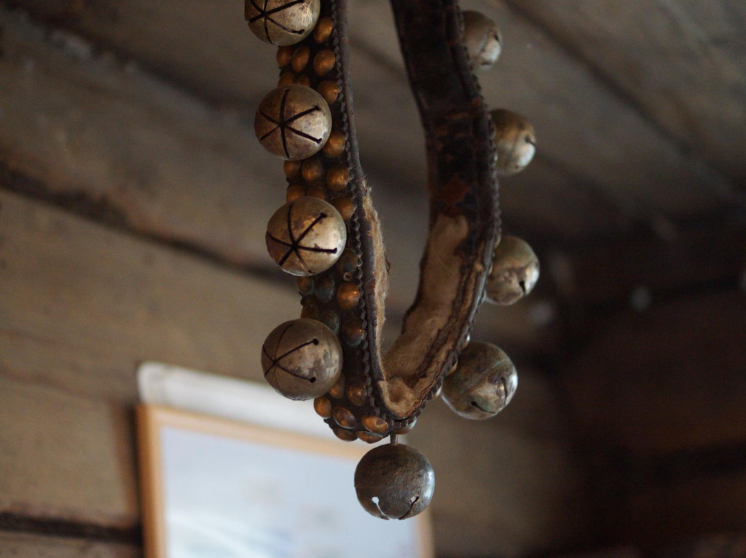 Historical and Ethnographic Museum Zolotoi Ruchey景点图片