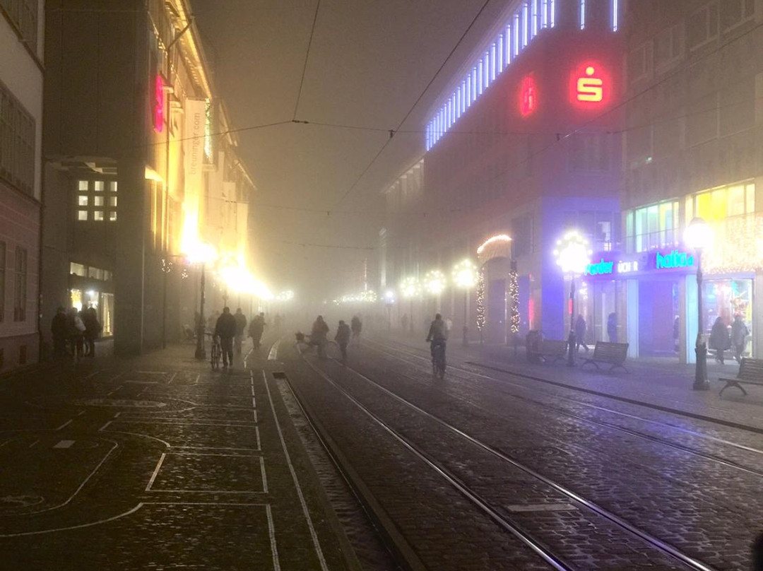 Freiburg Free Walking Tour-佛莱堡必去景点