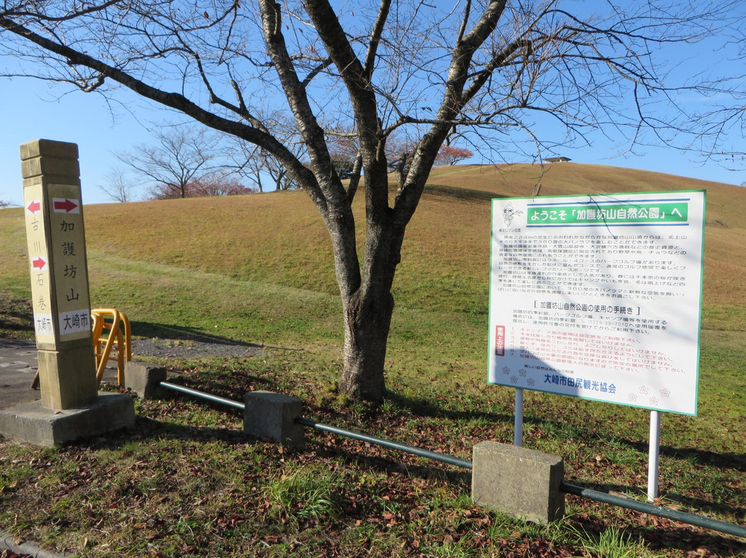 Kagoboyama Nature Park-大崎市必去景点