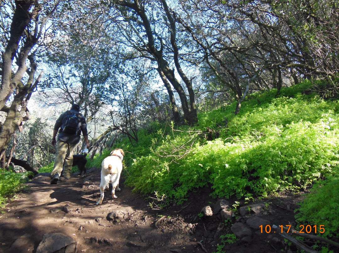 Cerro Manquehue-圣地亚哥必去景点