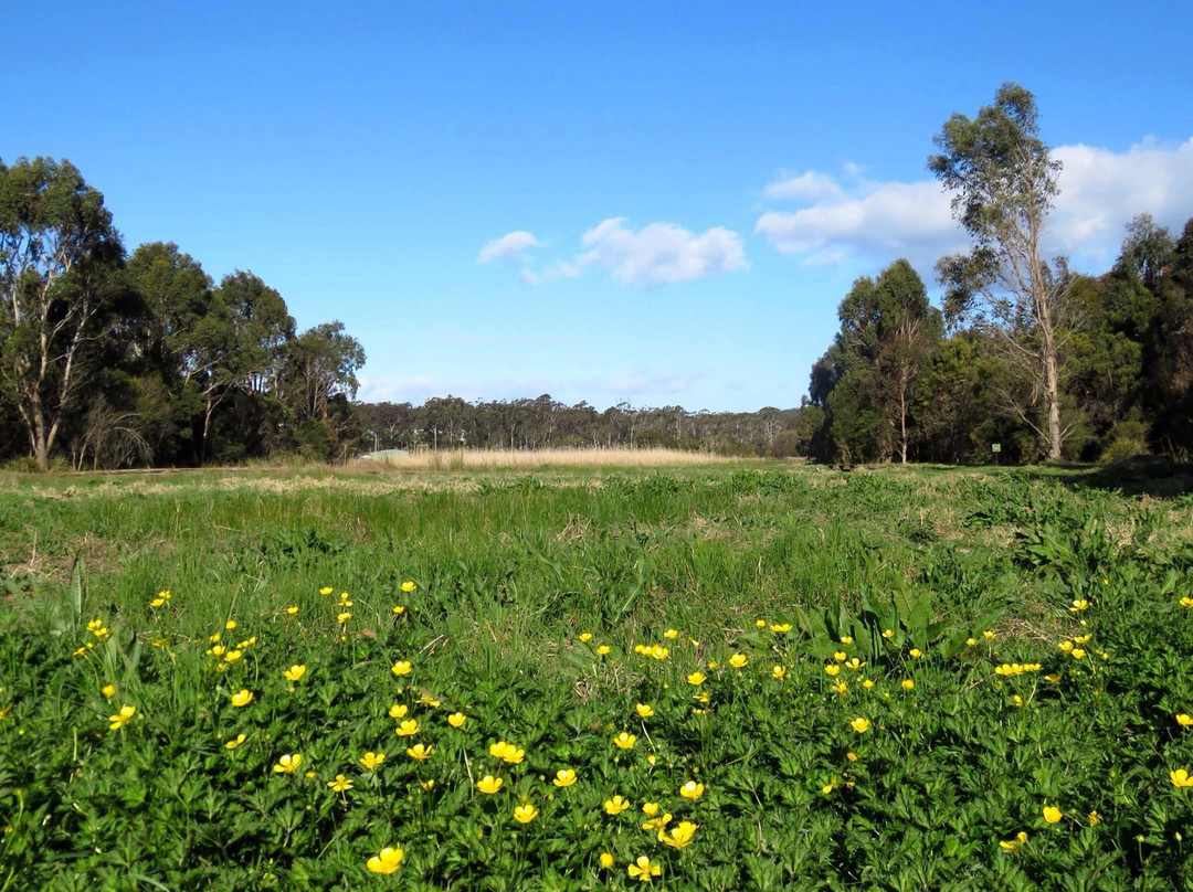 Panboola Wetlands景点图片