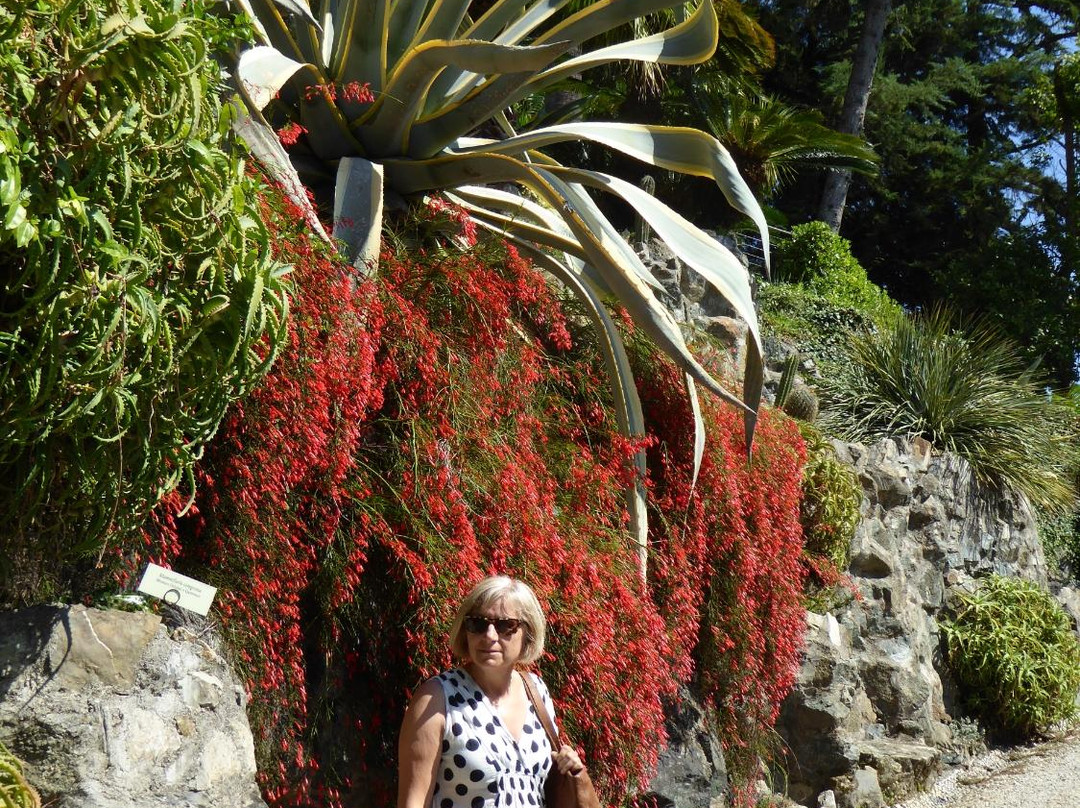 Cinque Terre Travel Guide - Five Lands and Italian Riviera Tour Specialist景点图片