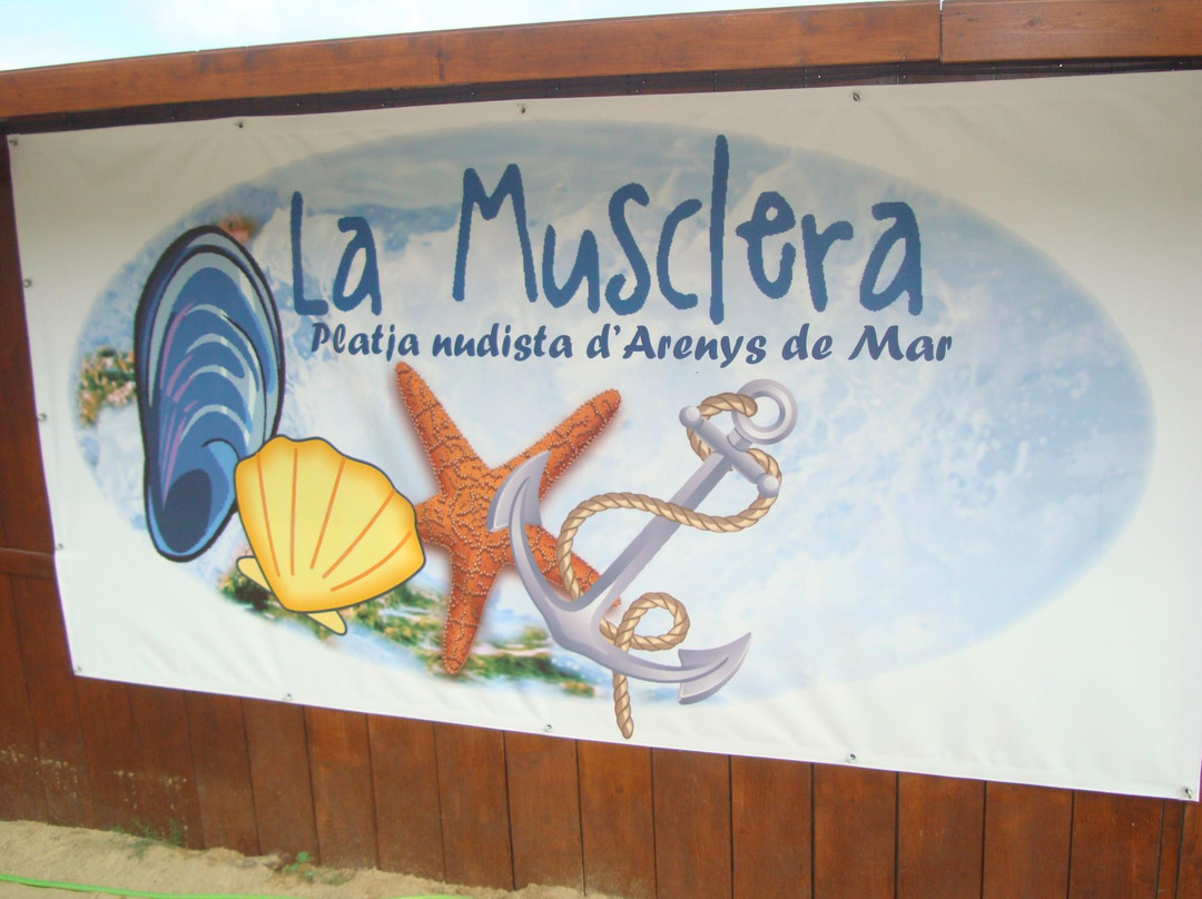 Platja de La Musclera-Arenys de Mar必去景点