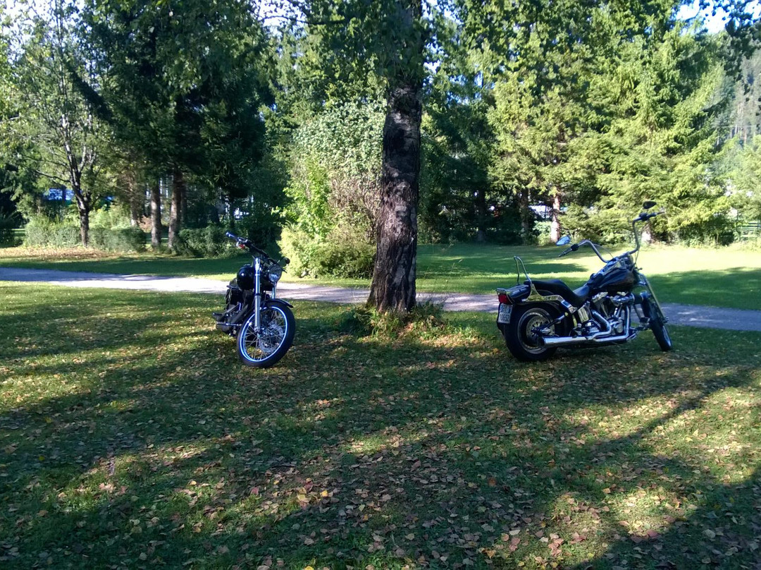 Camping Ferien Am Walde