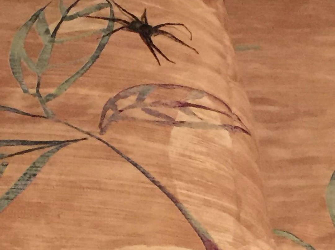 Riverside Motel主图