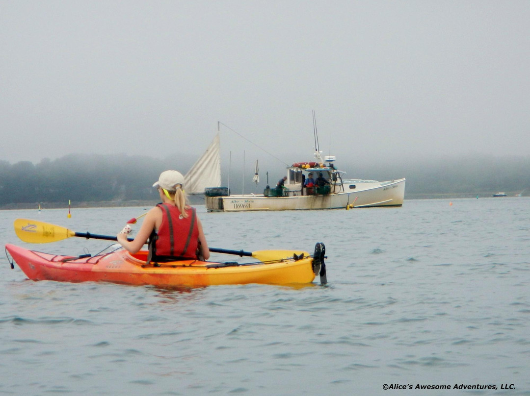 Alice's Awesome Adventures-不伦瑞克必去景点