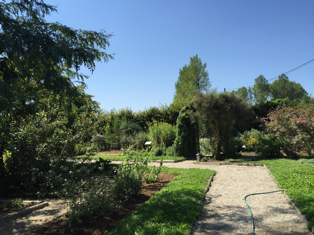 Jardin Botanique de Marnay sur Seine景点图片