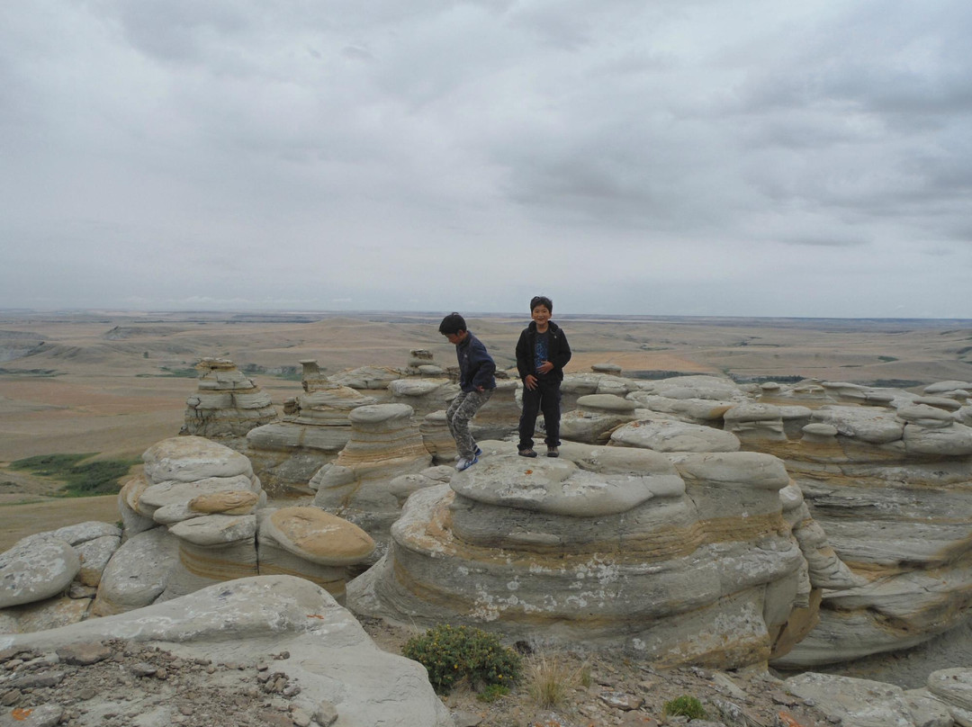 DeBoo Ranch Adventures-Valier必去景点