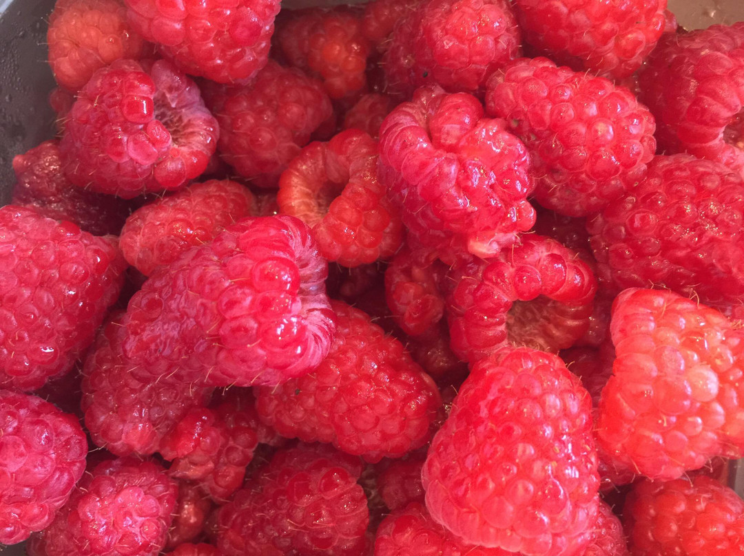 Round Lake Beach餐馆和美食-Frostie Bites