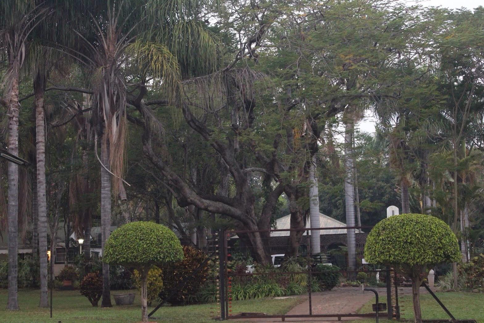 Koppie Alleen Guest House-客卧