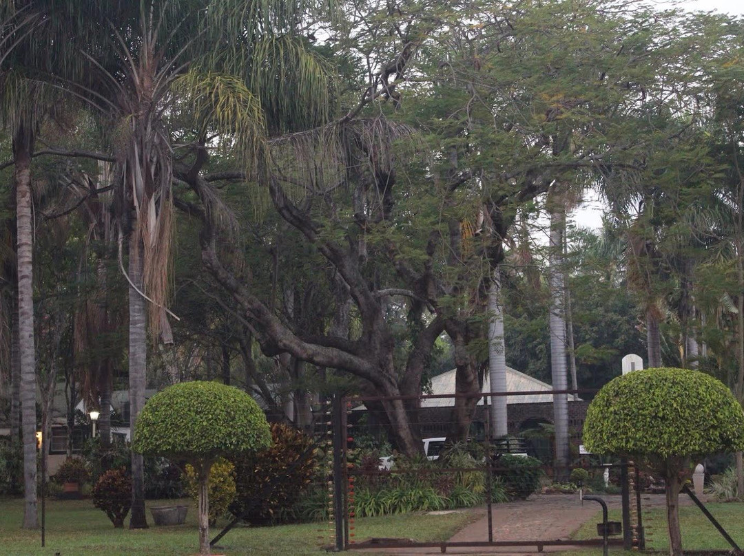 Louwsburg酒店住宿-Koppie Alleen Guest House