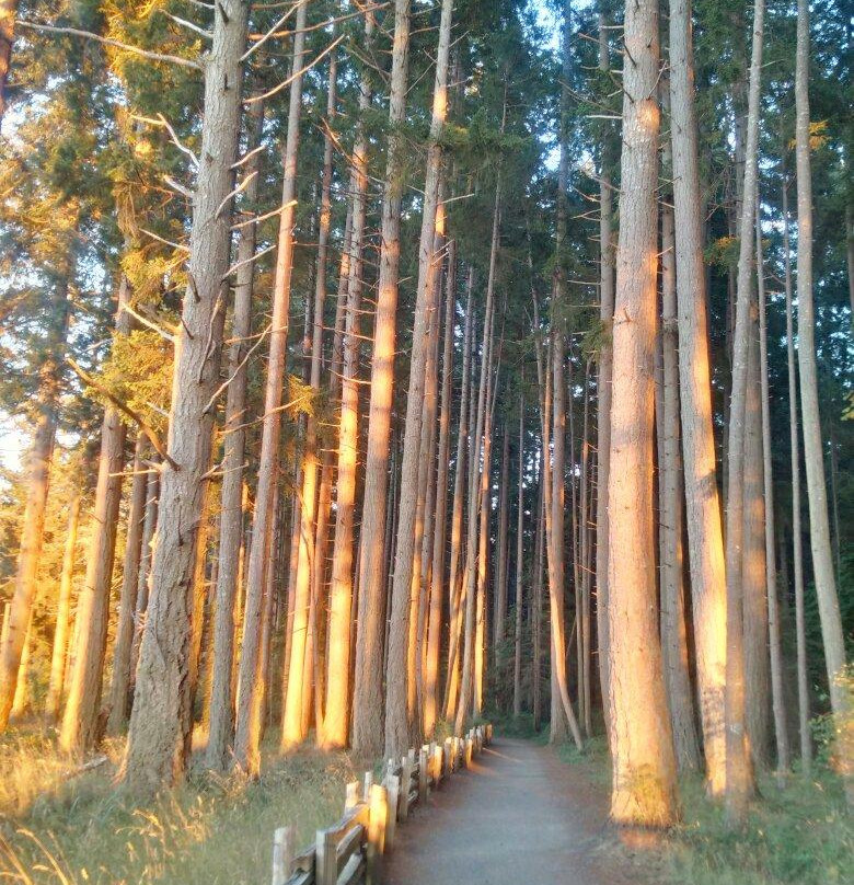 海滩省立公园-帕克斯维尔必去景点