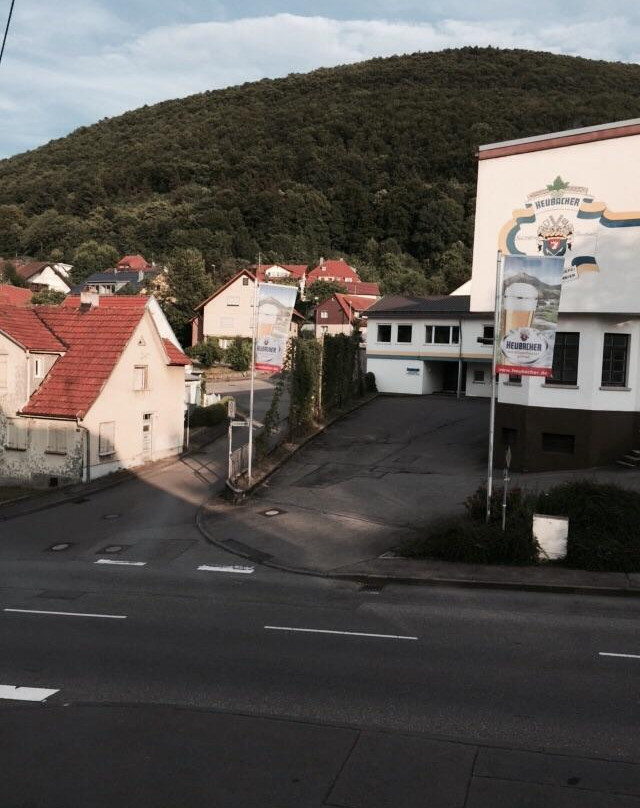 Goldener Hirsch主图