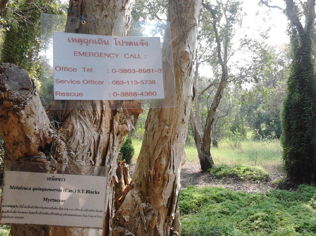 Rayong Botanical Garden-查蓬必去景点