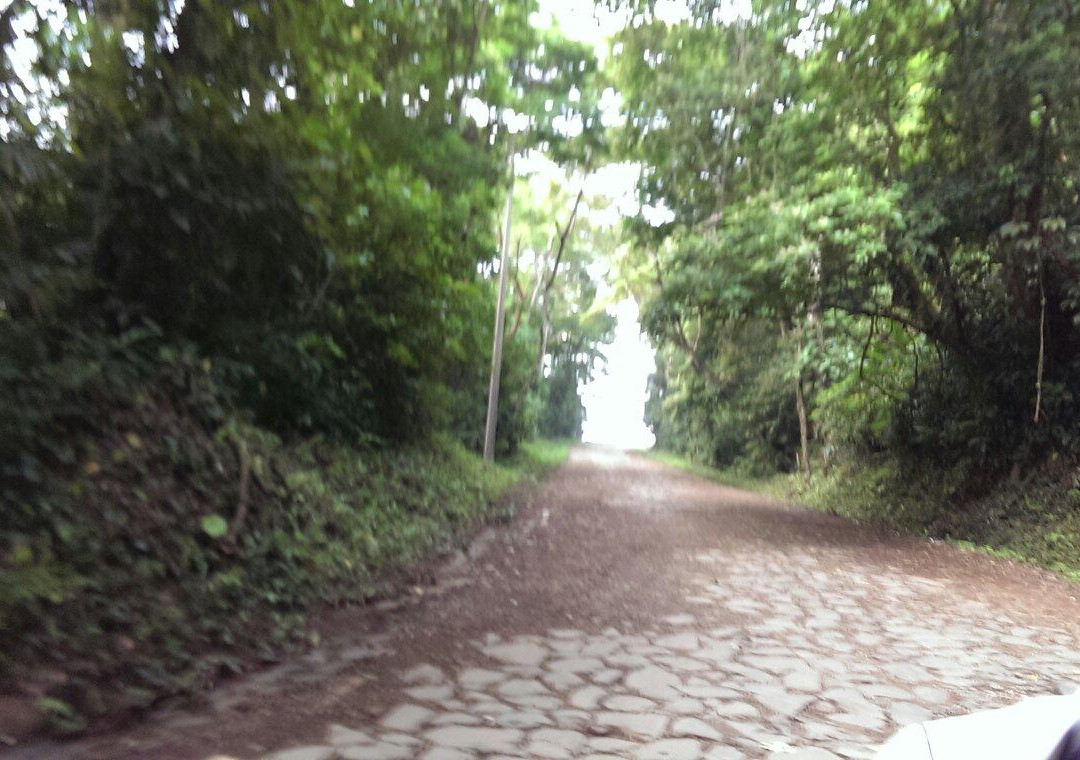 Barra de Sontecomapan景点图片