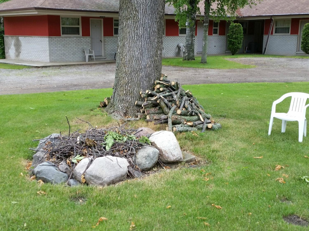 Sun And Sand Hotel主图