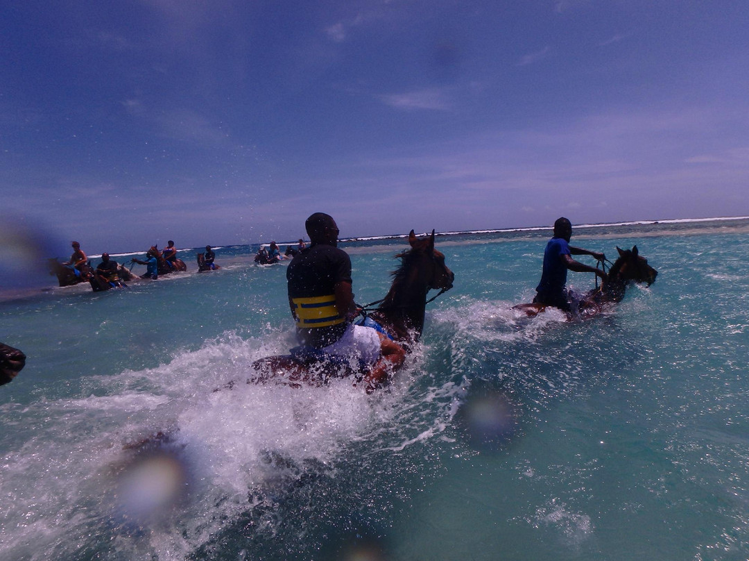 JusTours Jamaica - Horseback Ride 'n' Swim Tour-Lucea必去景点