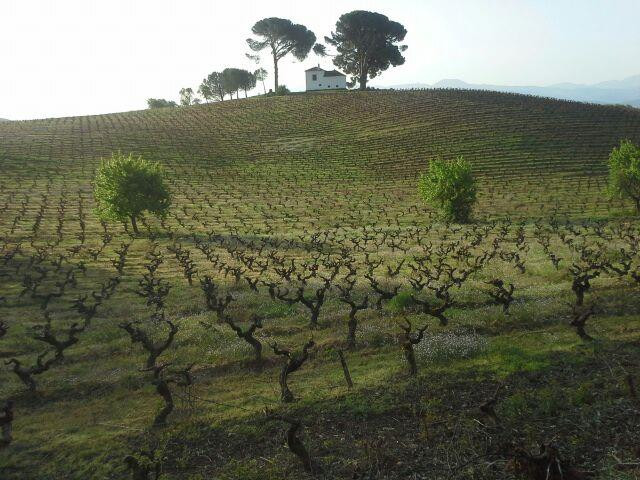 Vinas Del Bierzo-Camponaraya必去景点