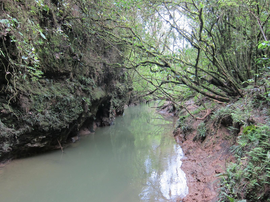 怀托摩萤火虫洞-怀托摩洞穴必去景点