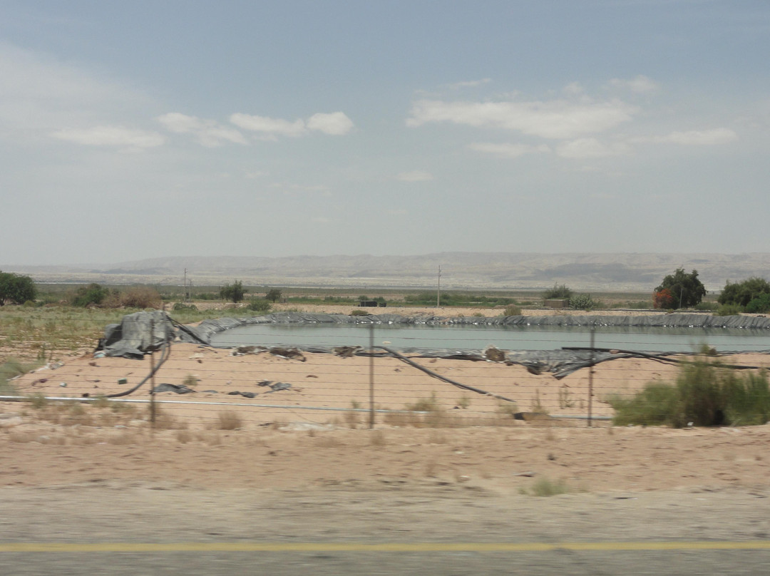 Wadi Araba Desert景点图片