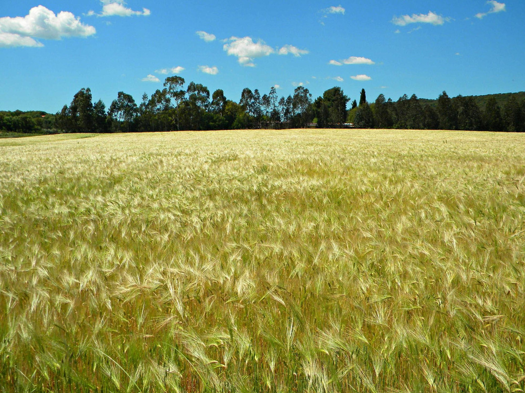 B&B Amore di Maremma主图