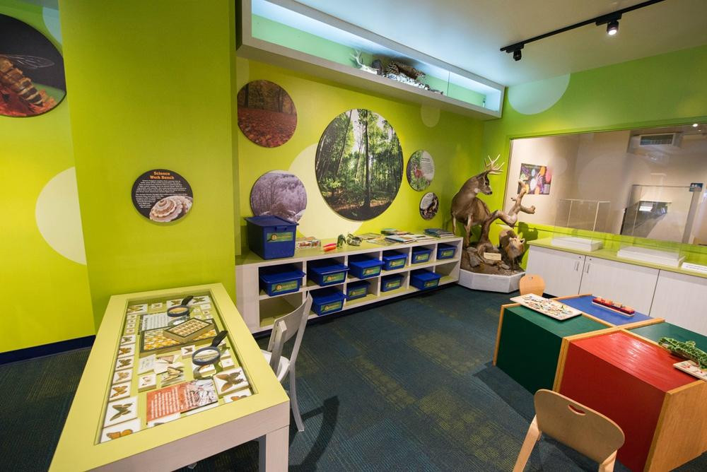 North Museum of Nature and Science-兰卡斯特必去景点