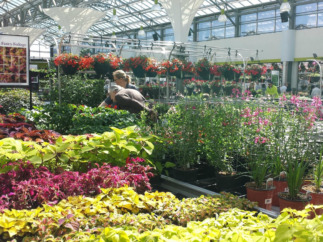 The Enjoy Centre-圣艾伯特必去景点