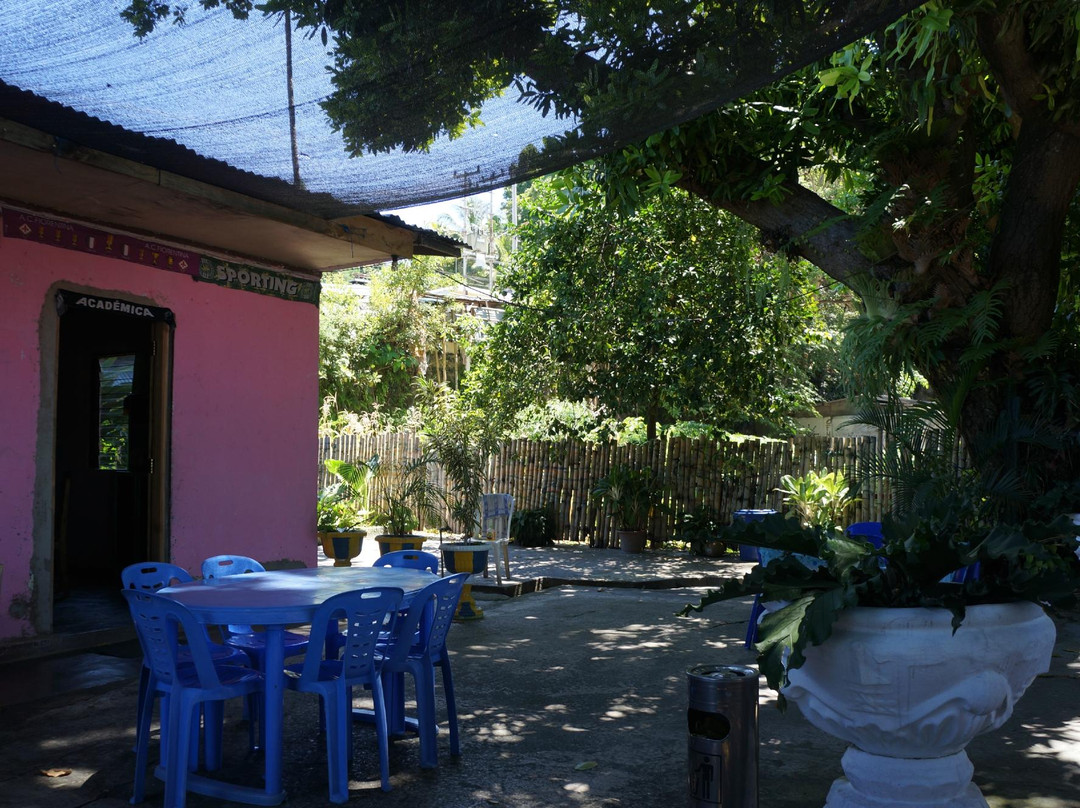 Amalia Restaurant主图