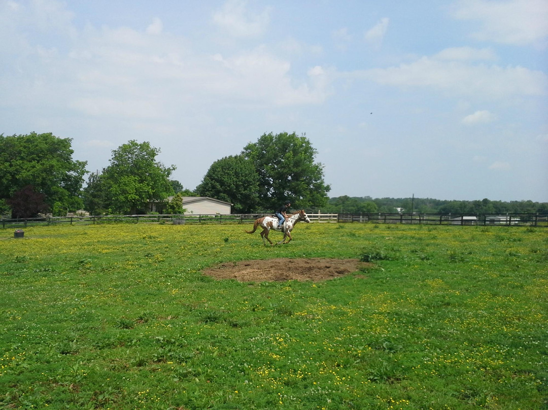 Sunburst Horsemanship School-列克星敦必去景点